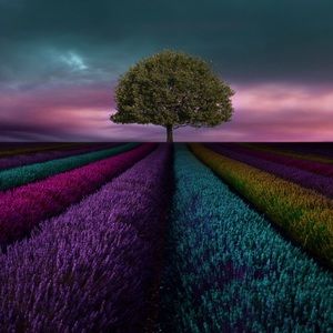 Meet your Posher, Bella